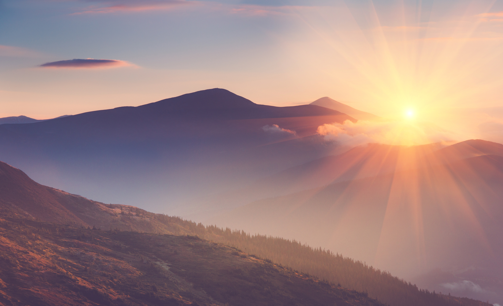 shutterstock 527304829 2